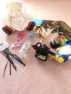 Bundle of Graduation Decorations